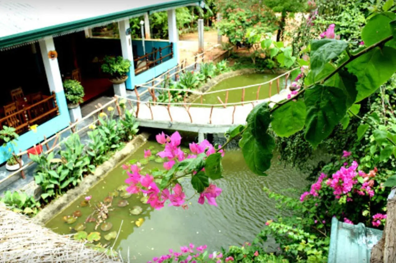 Gasthof Hotel Hungry Lion Sigiriya