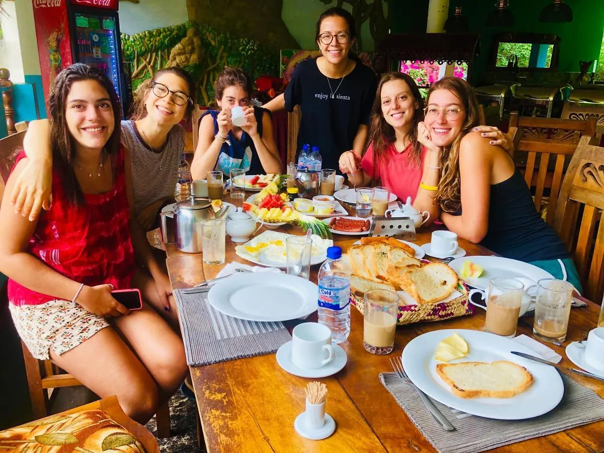 Gasthof Hotel Hungry Lion Sigiriya