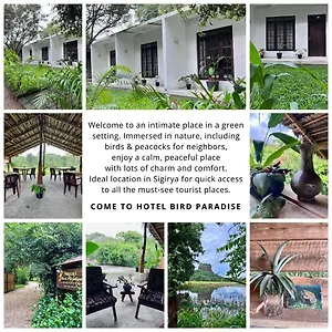 Hotel Bird Paradise, Sigiriya